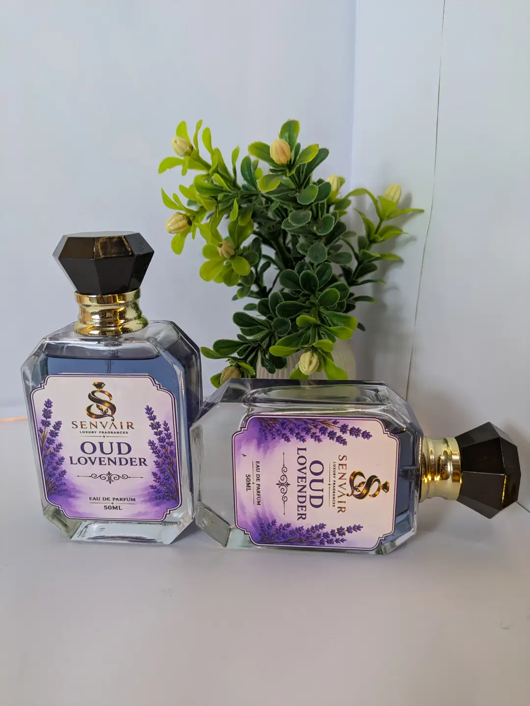 Long Lasting Fragrance Perfume