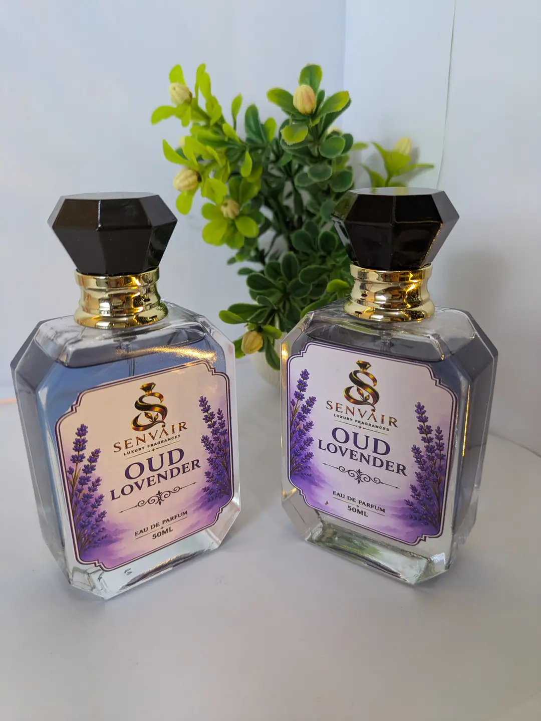 Long Lasting Fragrance Perfume