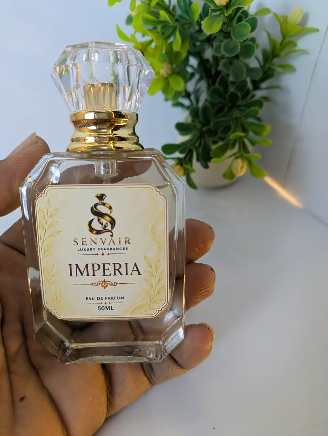 Long Lasting Fragrance Perfume