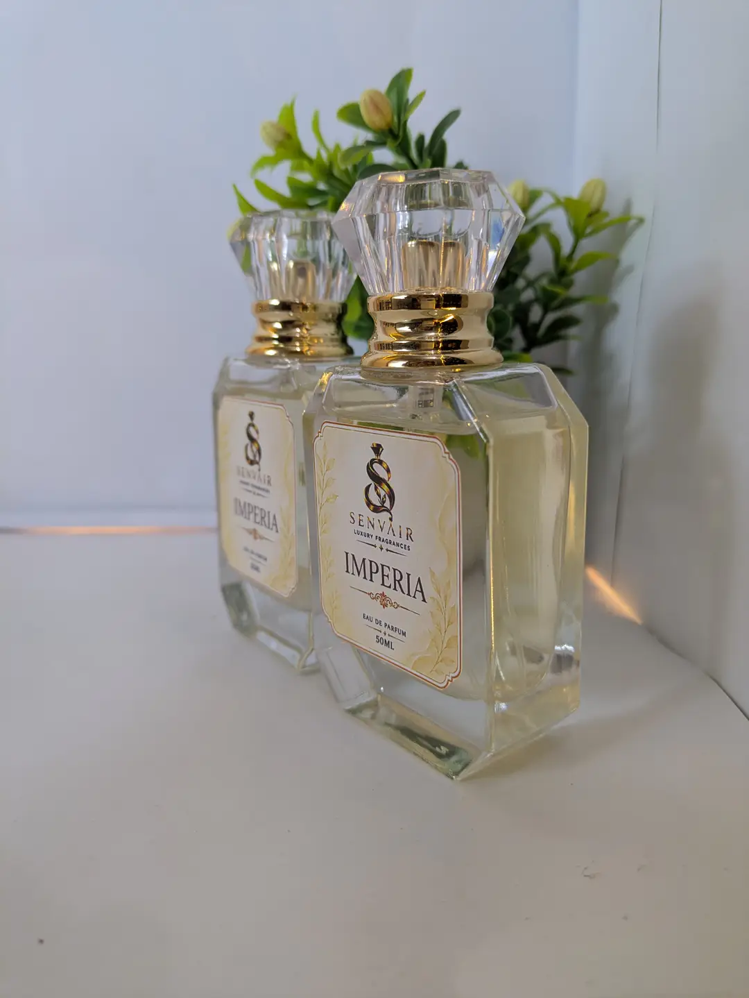 Long Lasting Fragrance Perfume