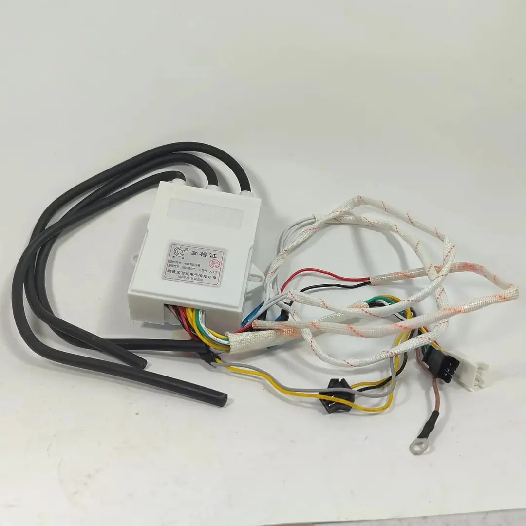 Gas Stove Double Igniter With Temperature Control