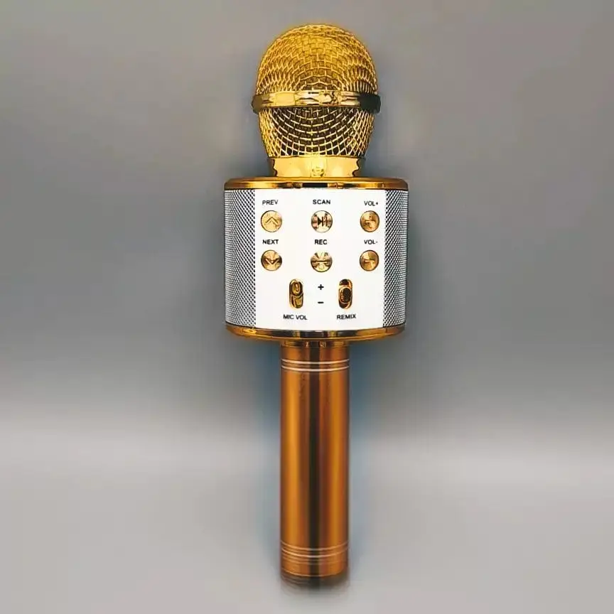 MIC Kids Voice Control Amazon Alexa Google Speaker