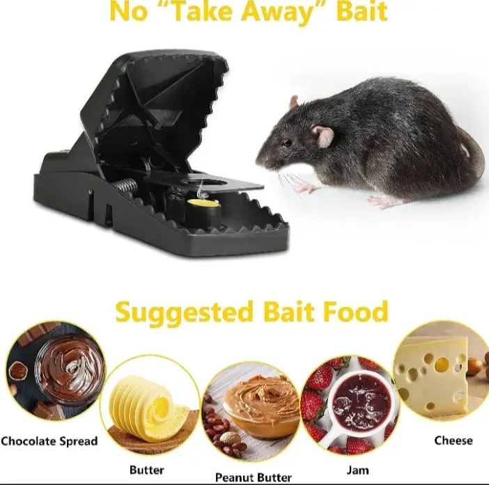 Mouse Trap Efficient and Easy To Use