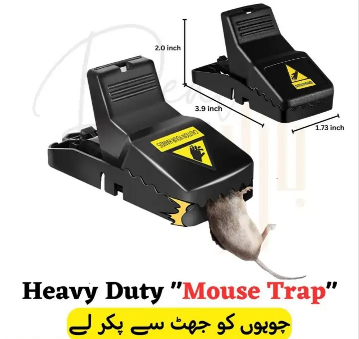 Mouse Trap Efficient and Easy To Use