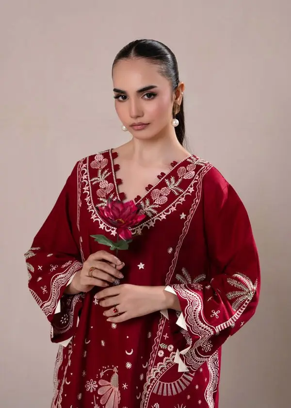 2 Pcs Women's Unstitched Embroidered Suit(nf)