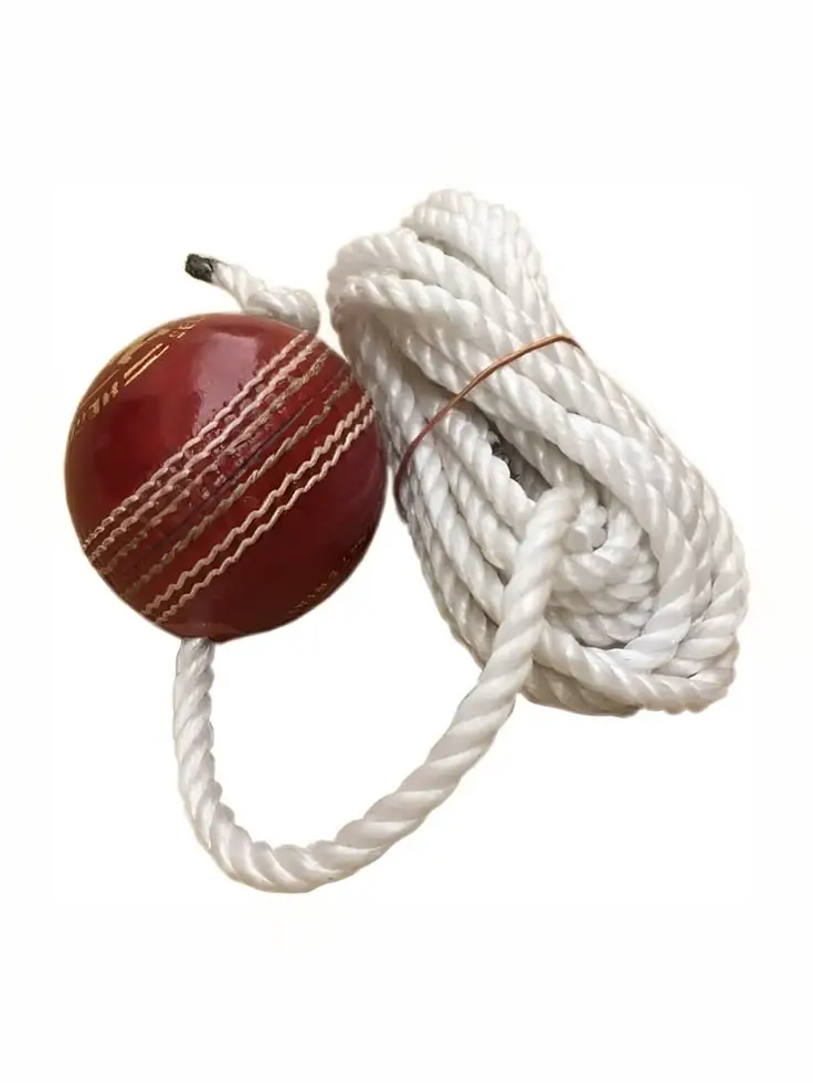Lightweight Cricket Hanging Hard Balls