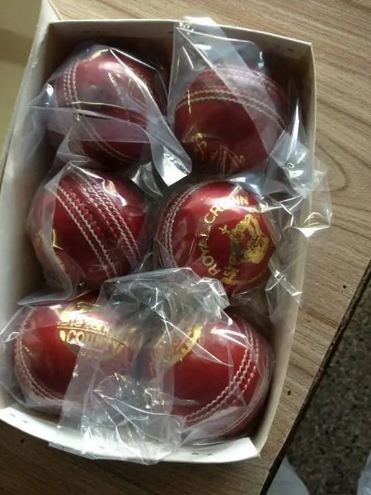 Lightweight Cricket Hanging Hard Balls