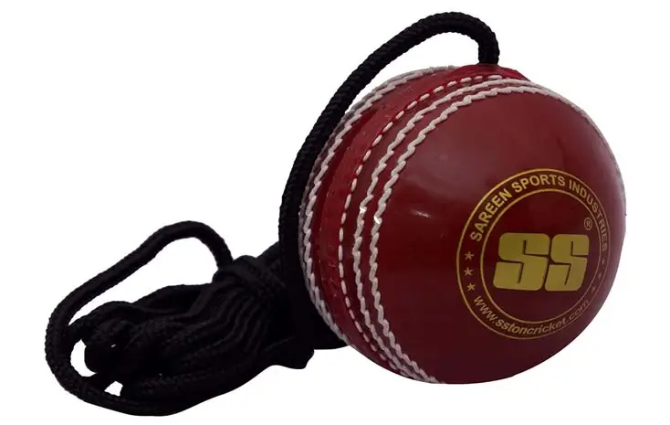 Lightweight Cricket Hanging Hard Balls