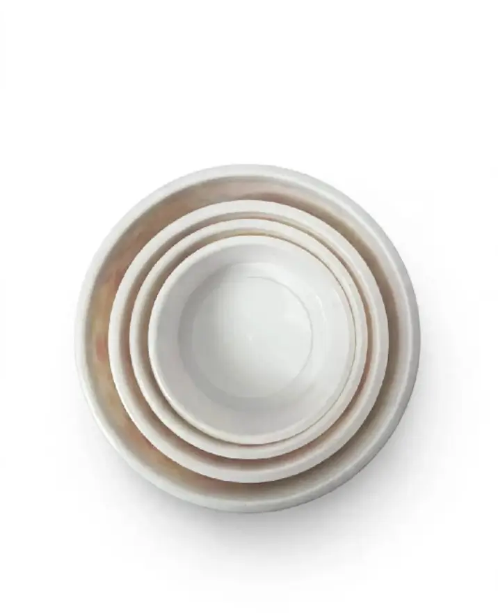 4 Pcs Set Food Storage Bowl Set With Lid - Floral Design