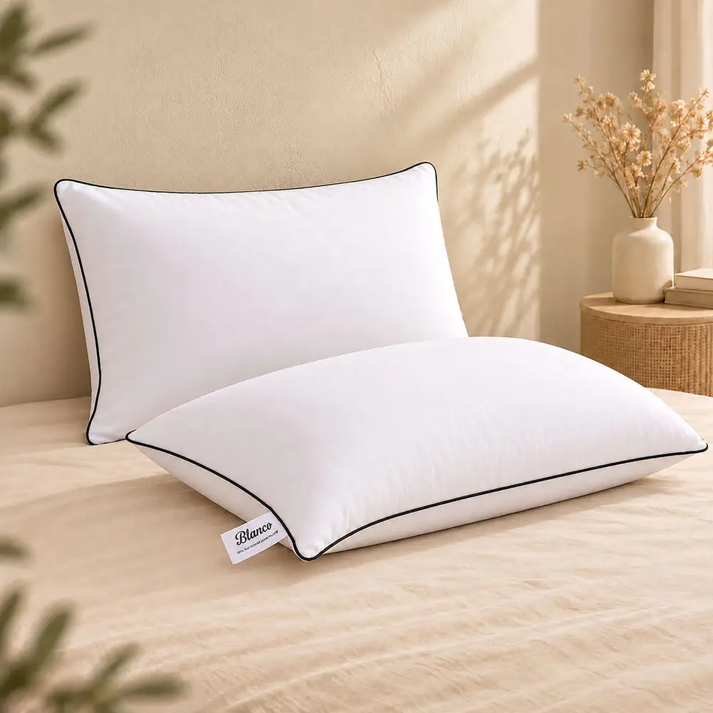 2 Pcs Crystal Cotton Plain Bed Pillow