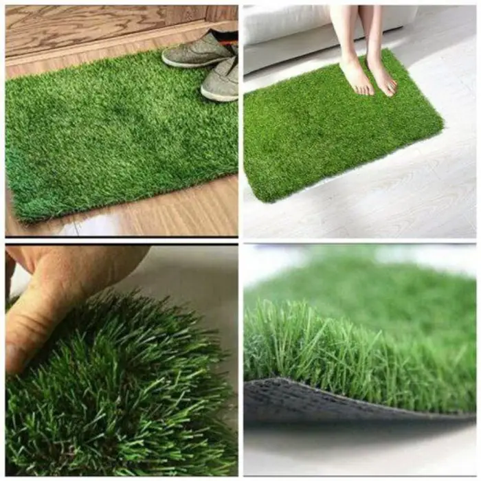 Door Floor Mat image 2