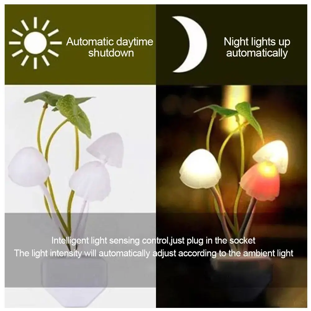 LED Table Lamp