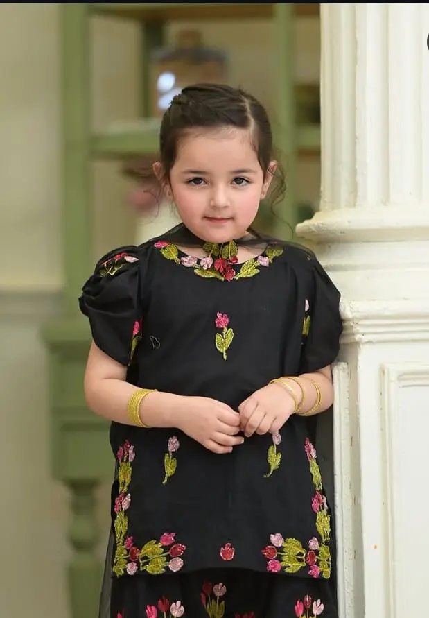 3 Pcs Girl's Dhanak Embroidered Unstitched Suit