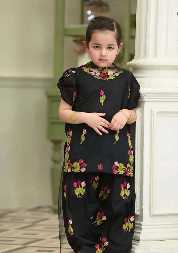 3 Pcs Girl's Dhanak Embroidered Unstitched Suit
