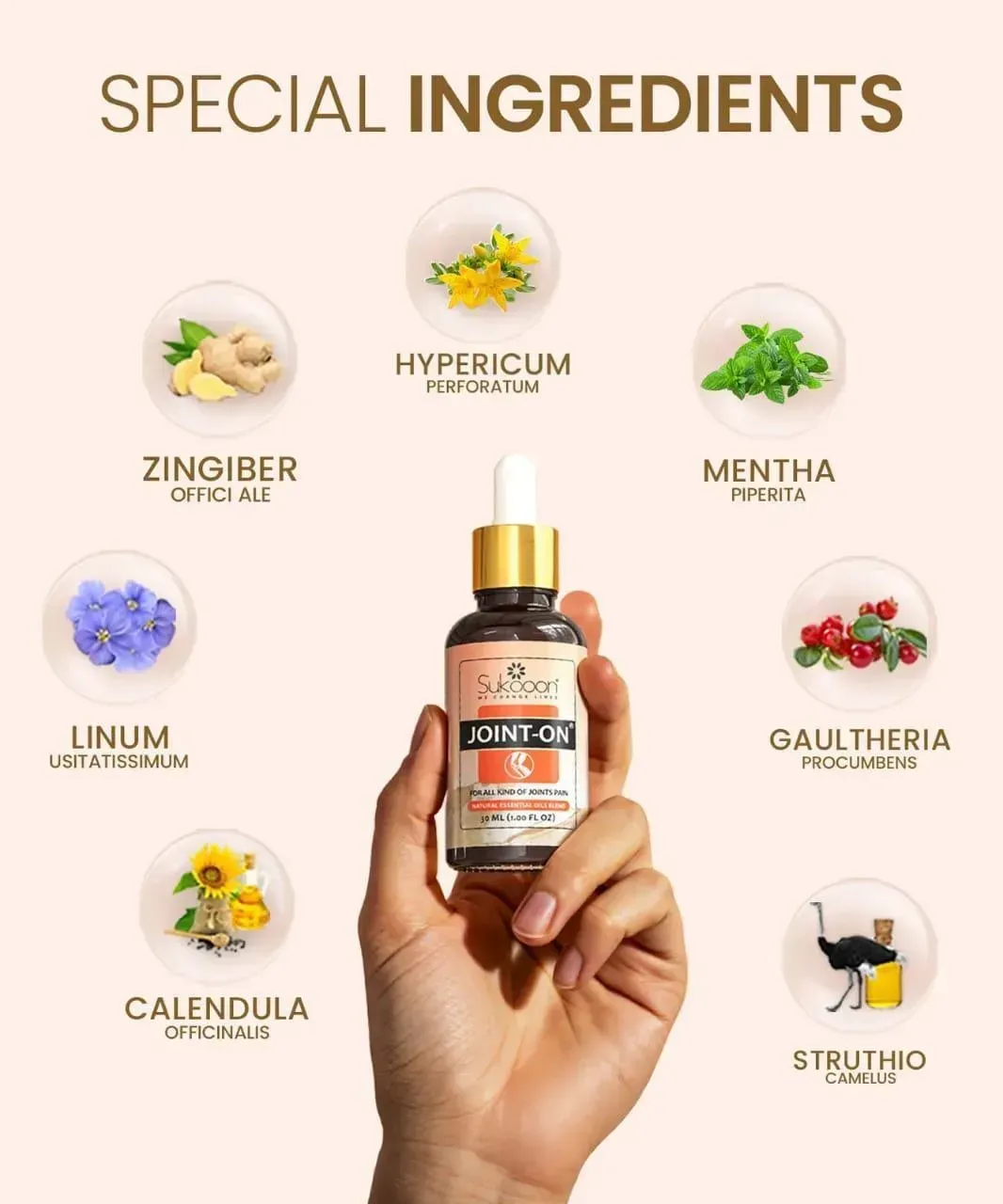 Joint-On Essential Oil 30ml Pain Relief for Joints & Knee