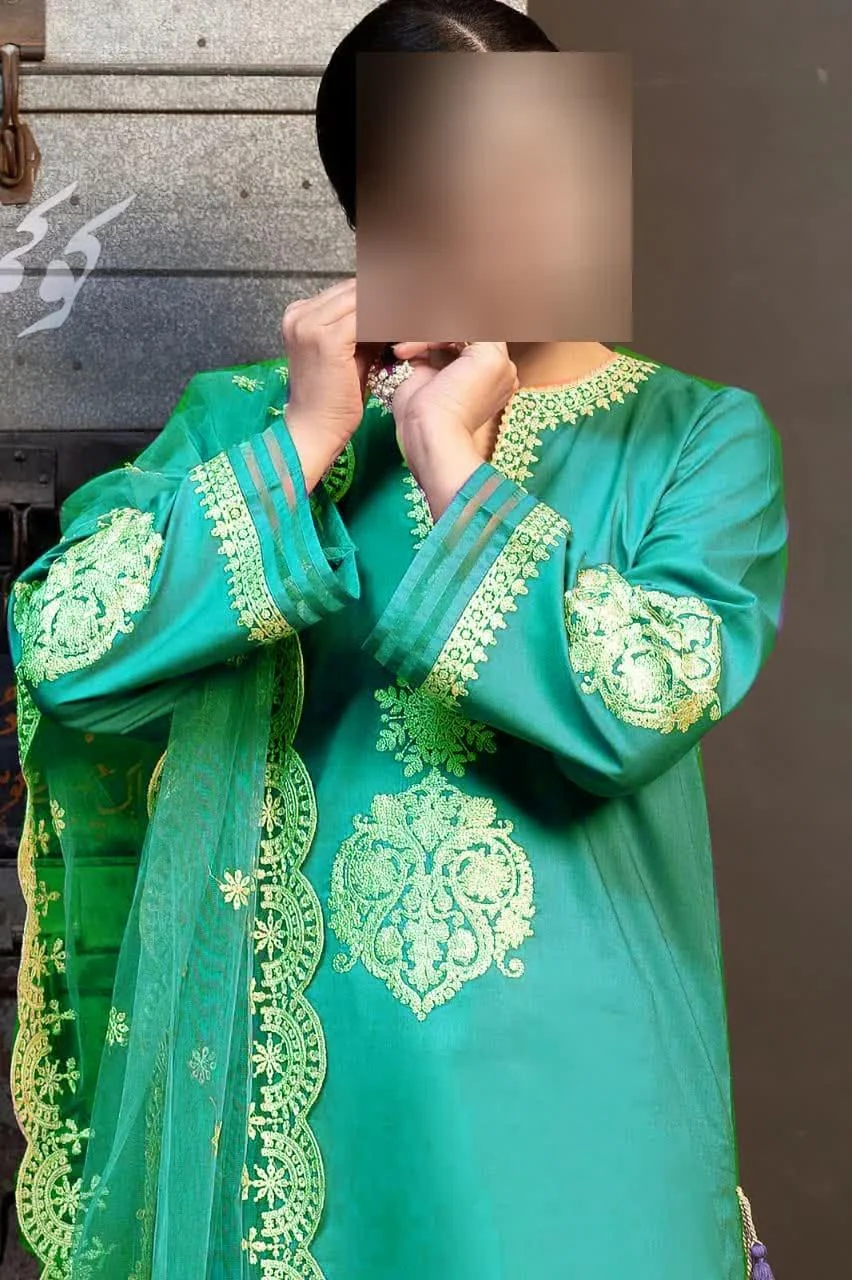 3 Pcs Women's Unstitched Embroidered Suit