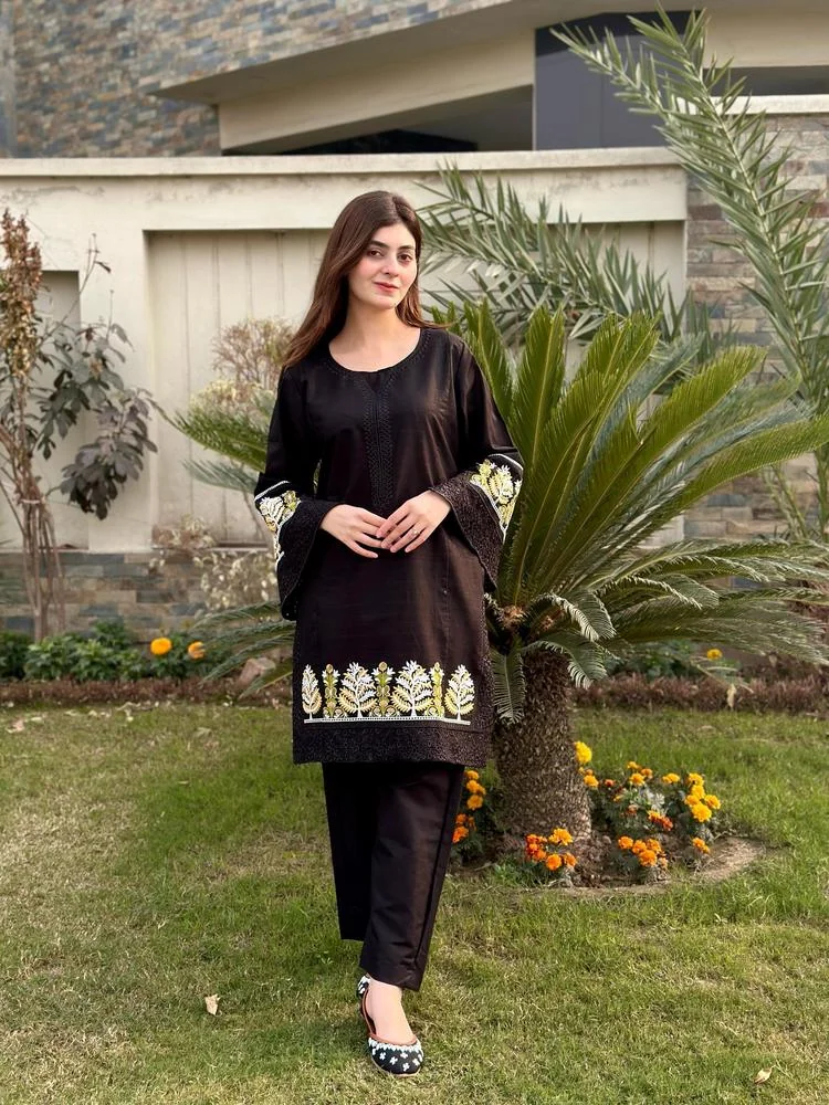 2 Pcs Women's Stitched Lawn Embroidered Shirt And Trouser