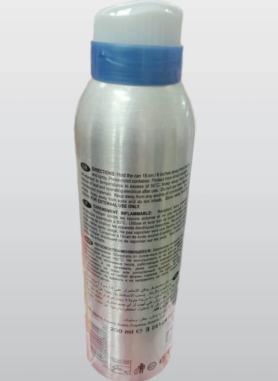 Havoc Body Spray Silver Can 200ml Leak Proof