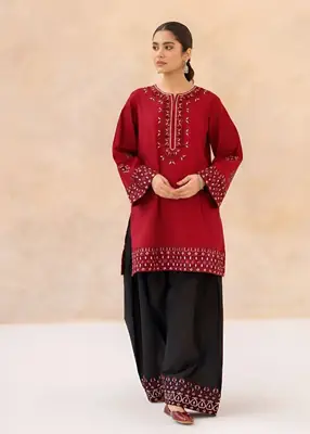 2 Pcs Women's Unstitched Embroidered Suit
