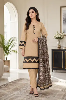 3 Pcs Women's Stitched Lace Tissue Work Suit