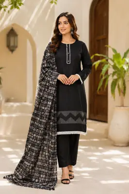 3 Pcs Women's Stitched Lace Tissue Work Suit