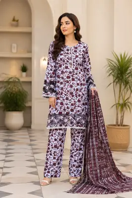 3 Pcs Women's Stitched Lace Tissue Work Suit