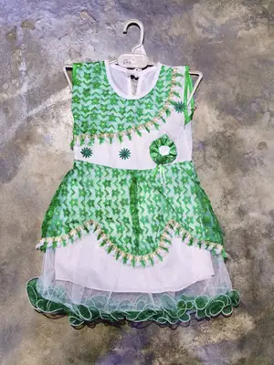 14 August 2 Pcs Girl's Fancy Embroidered Frock And Trouser Set thumbnail 6