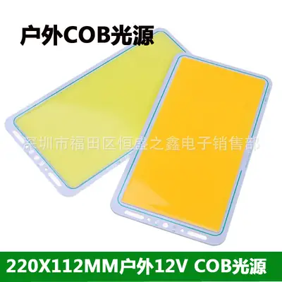 Outdoor COB Light Panel 220x112mm 12V Pakistan