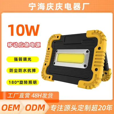 10W LED Floodlight for Outdoor & Emergency Use