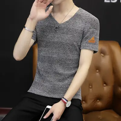 Men V-neck Mesh Slim Fit Summer T-shirt