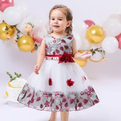 Princess Dress Red Floral Embroidery Tulle Skirt Wedding Birthday
