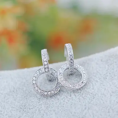 Elegant Circle Zircon Earrings S925 Silver