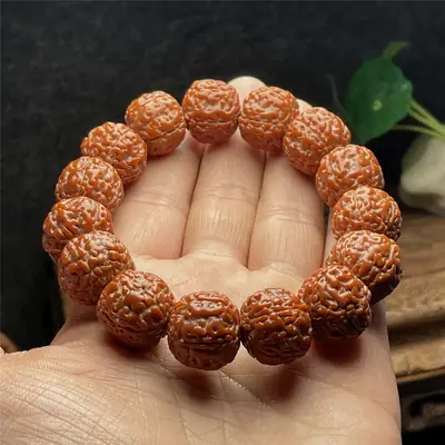 Bodhi Seed Dragon Scale Bracelet for Men Women