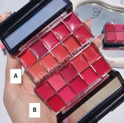 10 In 1 Creamy Lipstick/Blush Palette  thumbnail 2