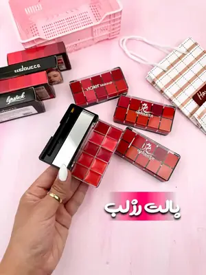 10 In 1 Creamy Lipstick/Blush Palette  thumbnail 6