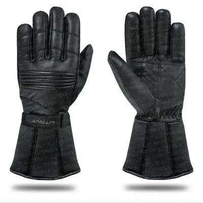 Motorcycle Gloves | Thermal L265 thumbnail 2