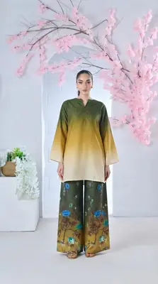 2 Pcs Women's Stitched Lawn Printed Co-Ord Set