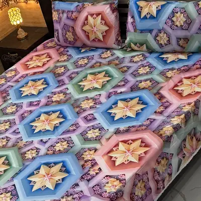 Vibrant 3 Pcs Micro Cotton Printed 9D Double Bedsheet