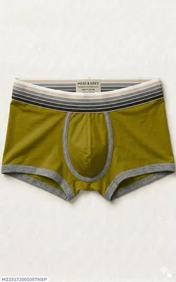 Men's Cotton Boxers Fabric: Cotton Pattern: Plain