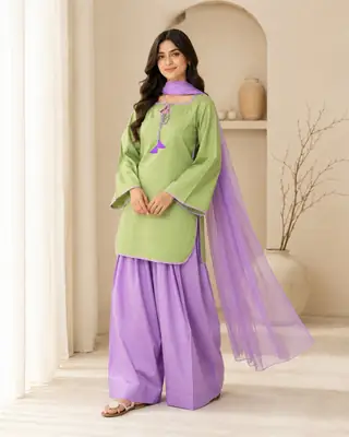 3 Pcs Women's Stitched Cotton Plain Suit