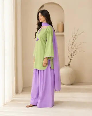 3 Pcs Women's Stitched Cotton Plain Suit thumbnail 2
