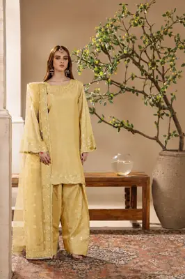 3 Pcs Women's Unstitched Embroidered Suit thumbnail 3