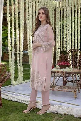 Organza Embroidered 2-Piece Suit for Weddings Party Wear thumbnail 3