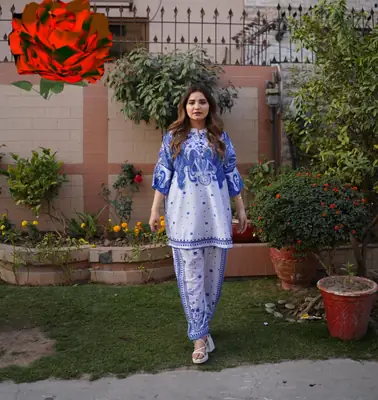 2 Pcs Women's Stitched Swiss Lawn Printed Co-Ord Set