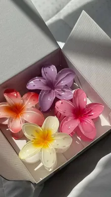 Pack of 3 Multicolor Hair Catchers - Essential Hair Accessories thumbnail 2