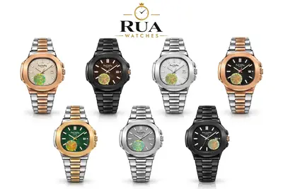 WLadies Luxury Paul Valley Watch with Working Date Display