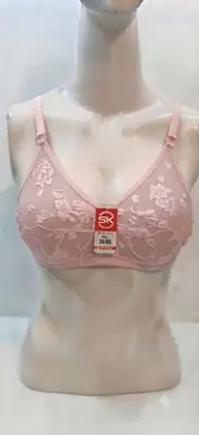 Net Embroidered Light Weight Bra Top thumbnail 2