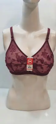 Net Embroidered Light Weight Bra Top thumbnail 2