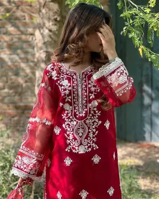 3 Pcs Women's Stitched Organza Embroidered Suit thumbnail 3