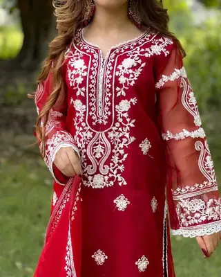 3 Pcs Women's Stitched Organza Embroidered Suit thumbnail 4